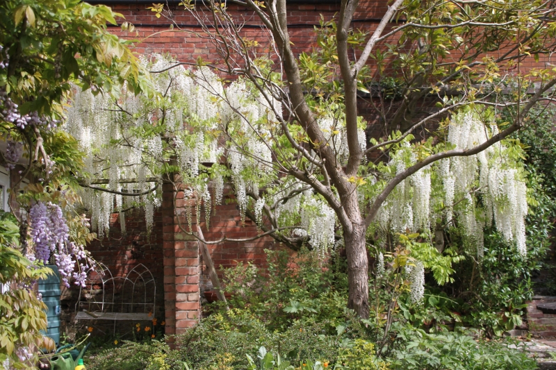 Home Farm House, 17 Main Street